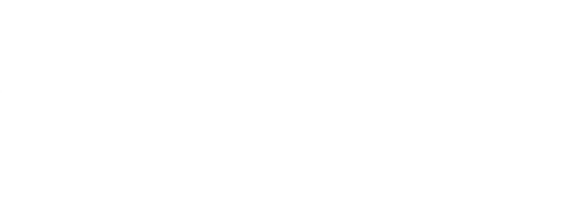Steed AWAYKE